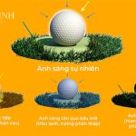 Cách quan sát ánh sáng trong chụp ảnh